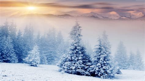 snow images hd|free snow wallpapers and screensavers.